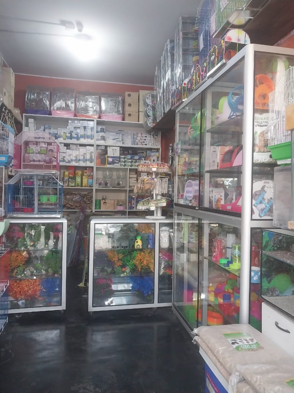 Todo para tu mascota